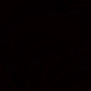 Meet your Posher, Avi